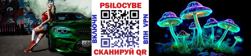 Галлюциногенные грибы мицелий ОМГ ОМГ Дрезна